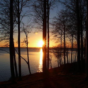 Meet your Posher, Monique